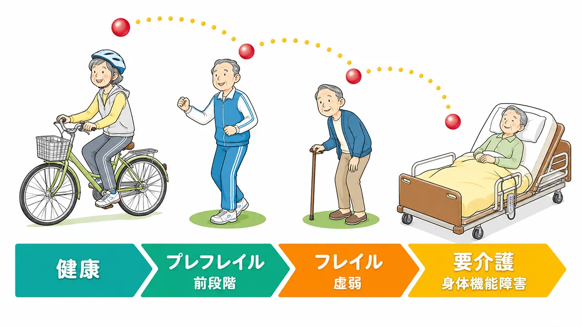 健康、プレフレイル、フレイル、要介護という段階を示した図